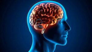 increible el cerebro humano es capaz de predecir el futuro 3 655x368 300x169 - بهترین داروی ضد افسردگی چیست؟