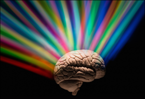 brain colors PM Images 56a09c035f9b58eba4b20b80 300x205 - شیدایی | معنی شیدایی | تست و اختلال شیدایی | راه های درمان شیدایی